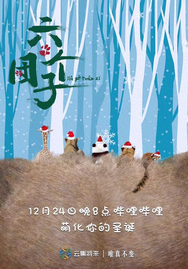 又想骗我养宠物了，但是这档纪录片也太可爱了吧！