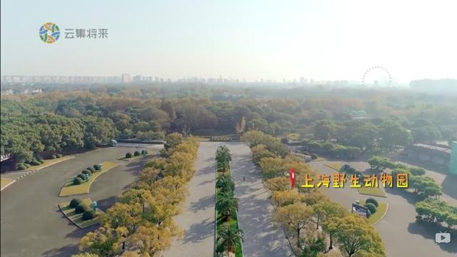 又想骗我养宠物了，但是这档纪录片也太可爱了吧！
